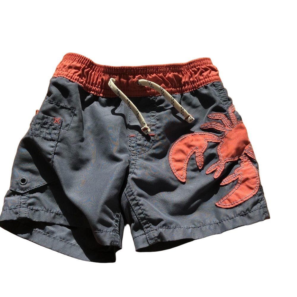 🍭6/$30 Baby Gap Lobster swim trunks 6-12 m